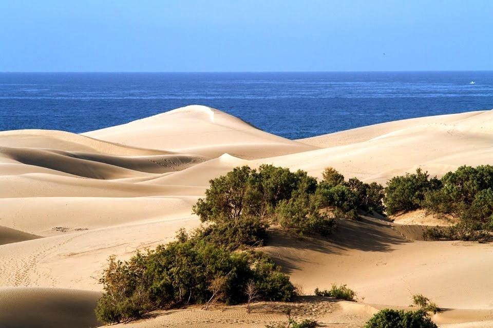Cozy * Maspalomas (Gran Canaria)